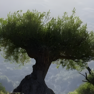 Olive tree and Spanish landscape